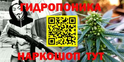 a pvp Рязань