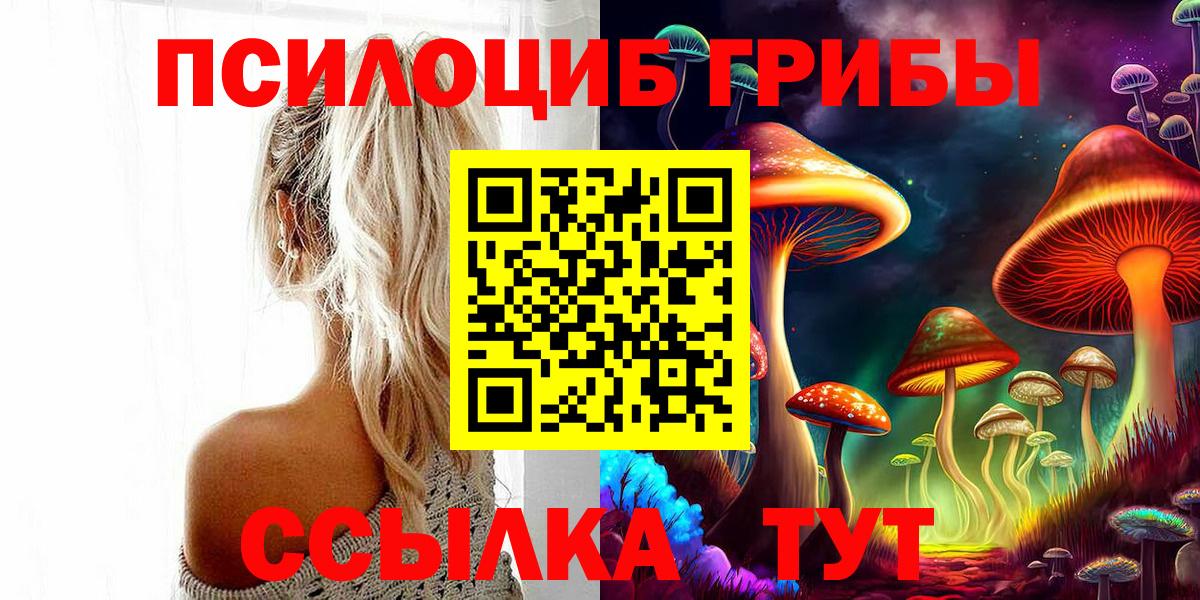 Новошахтинск  где найти   Вход с VPN  Галлюциногенные грибы мицелий 