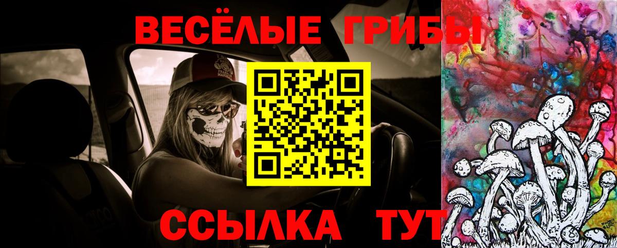 Псилоцибиновые грибы мицелий Новошахтинск